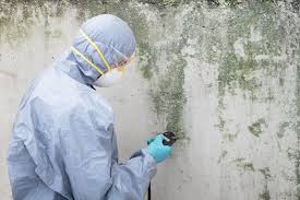 Forensic Mold Investigation